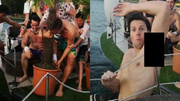 Boomknuffelaar eindigt met een paal op een hele nare plek