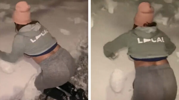 Uit de oude doos: vergeet sneeuwengelen, het is tijd voor sneeuwboebies deel 2