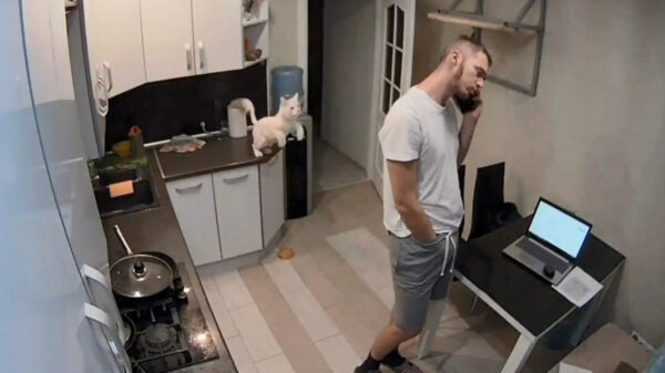 Levensgevaarlijk roofdier valt nietsvermoedende man aan