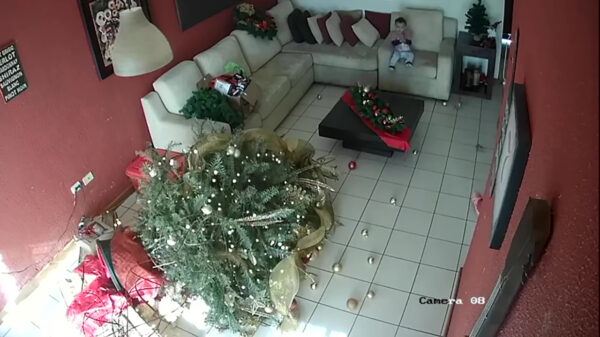 Koter laat even duidelijk merken wat hij van Kerstmis vindt