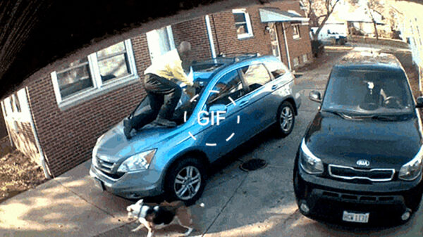 Gifdump: 17 pechvogels die hun maandag slecht zijn begonnen