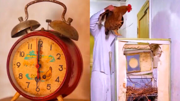 Goedemorgen: hoe ziet op donderdag jullie ochtendroutine eruit?