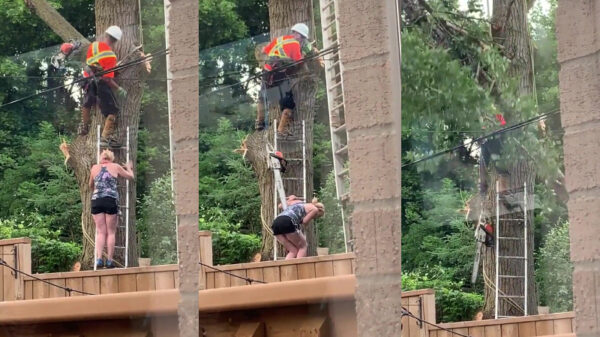 Tijdens het boompjekappen ging alles mis dat ook maar mis kon gaan