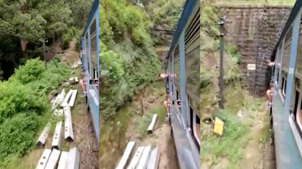 Idioot geniet van het mooie uitzicht in een rijdende trein