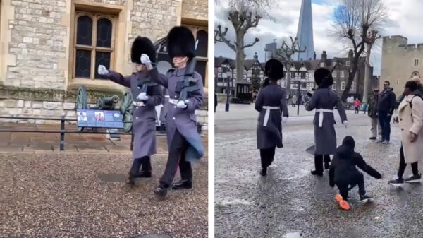 Engelse guard beukt koter keihard omver