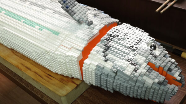 Op nieuwjaarsdag eten we heerlijke stop-motion zalm