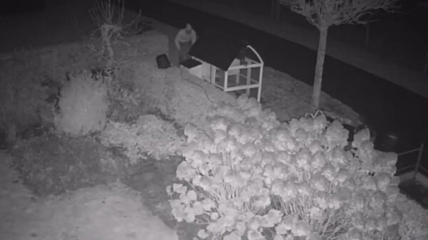 Dierenbeul gooit zwaar vuurwerk in kippenhok in Kootwijkerbroek
