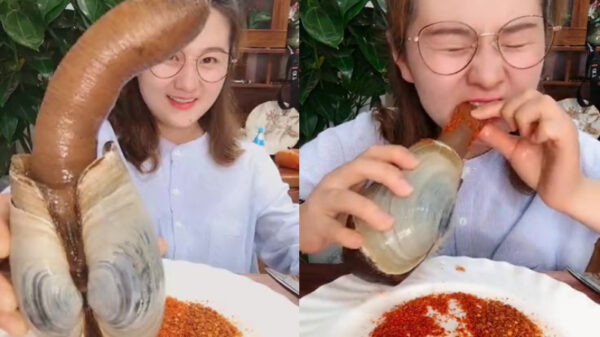 Het is bijna lunchtijd, iemand zin in een levende piemelmossel?