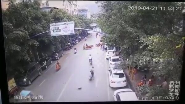 Meeuw heeft een hekel aan één bepaalde scooterrijder