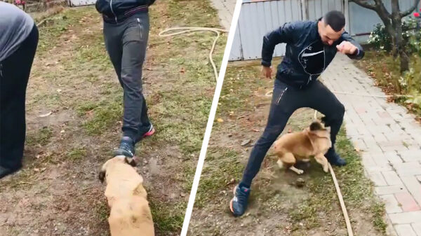 Speltip #624: daag nooit kleine keffertjes uit