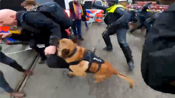 Demonstrant door hond aangevallen tijdens de demonstratie in Amsterdam