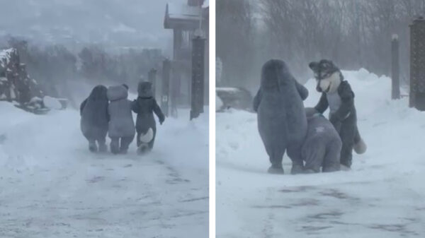 In Rusland helpen dronken Furries elkaar de winter door