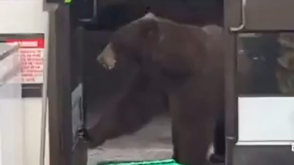 Klant totaal niet onder de indruk als hij wordt weggestuurd