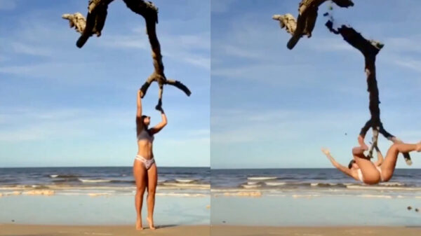 Note to self: aan rottend hout kun je beter niet gaan hangen