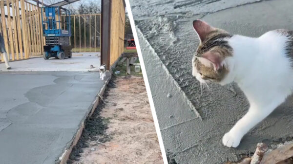 Helaas, dat wordt uithuilen en overnieuw beginnen