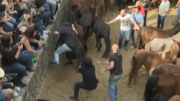 Spanjaarden worstelen met wilde paarden tijdens het 'Rapa das Bestas' festival