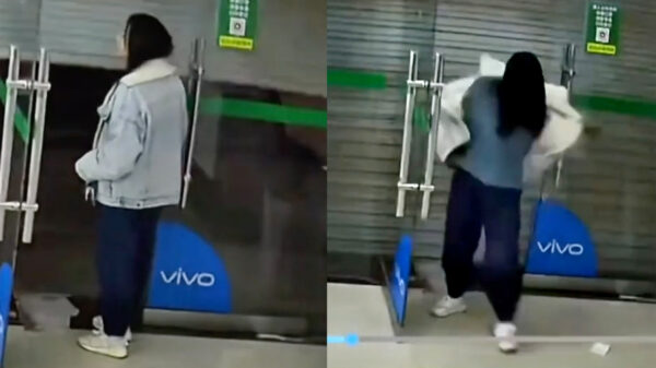 De rollen zijn ineens omgedraaid als de muis een poes probeert te vangen