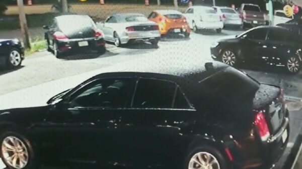 Whut! Gast klettert uit het niets van 6 meter hoogte op een auto