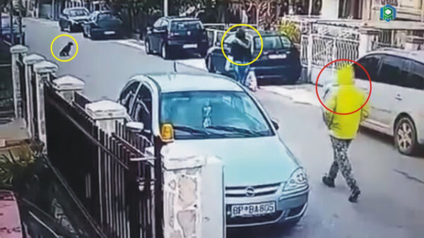 Zwerfhond beschermt vrouw die midden op straat wordt overvallen