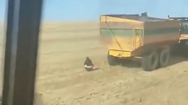 Tijdens het oogsten je dampende collega aanpakken