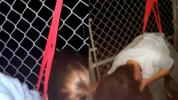 Over een hekkie klimmen resulteert in een MEGA wedgie