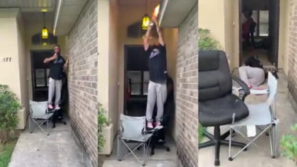 Prutser probeert een wespennest te verwijderen: 1-0 voor de wespen