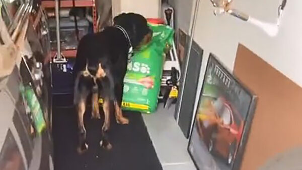 Op heterdaad betrapt: wat zijn we daar aan het doen?