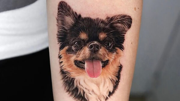 Liefhebbers van tatoeages komen weer volledig aan hun trekken (241)