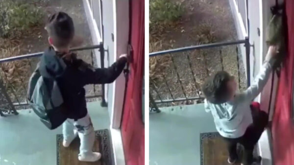 Koter doet dappere poging om zijn broertje buiten te sluiten