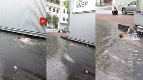 Het eerste echte buitenzwembad op het Mediapark is een feit!