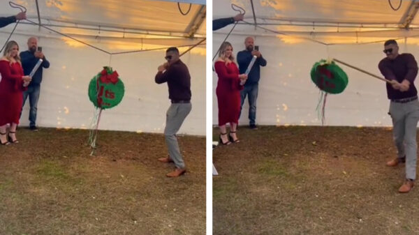 Wanneer gaan mensen toch eens leren dat gender reveals levensgevaarlijk zijn?