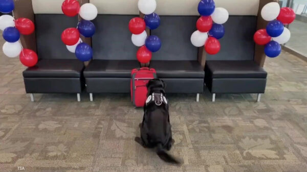 Explosievenhond gaat met pensioen maar krijgt eerst nog een enorme verrassing