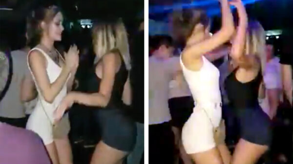 Ook deze fleurige dames zijn niet vies van een beetje aandacht