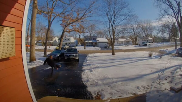 Als de oprit zo glad is dat je samen met je auto een stukje gaat glijden