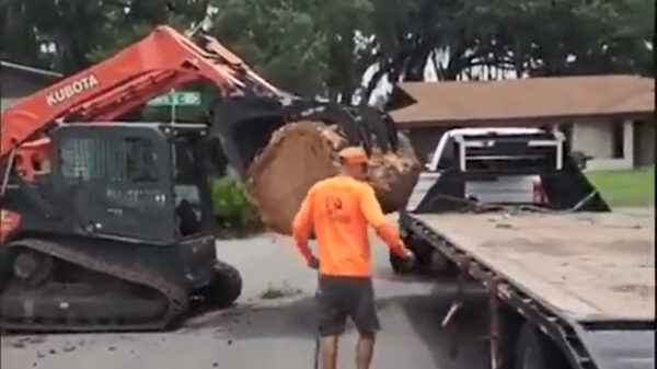 Een vroegtijdige zaadlozing bij het laden van een boomstronk is ook erg ongewenst