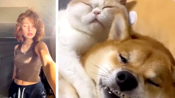 Heerlijke randomness in een nieuwe Coubcompilatie (153)