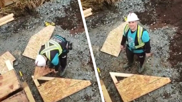 Uit de oude doos: Bob de Bouwer is niet helemaal uitgeslapen