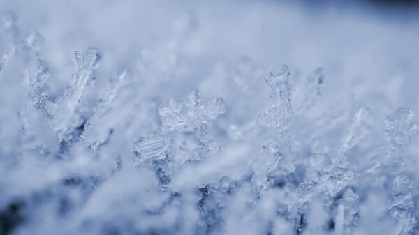 Goedemorgen: wat is het k-k-koud hè