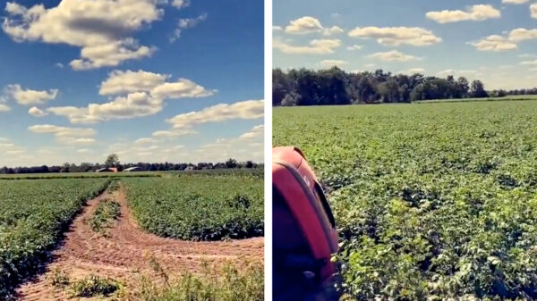 Soms moet je gewoon een momentje nemen om van het uitzicht te genieten