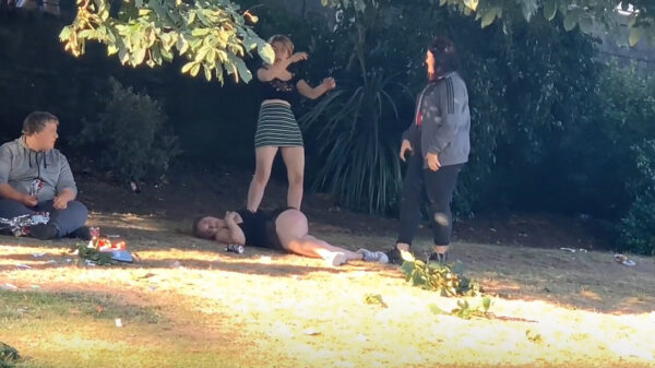 Kacheltjelamme Britse vrouwen brengen een gezellig dagje in het park door