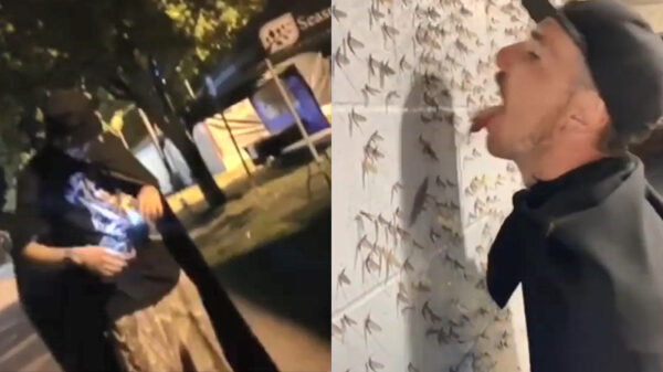 Batman heeft het financieel zwaar en gaat erg ver om te overleven