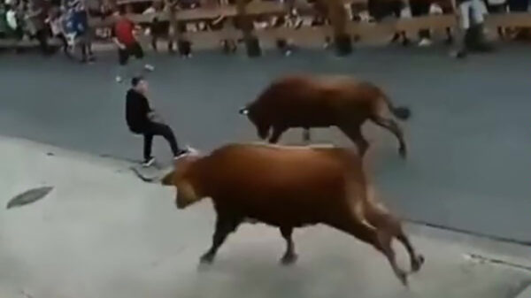 Deze stierenrenner heeft een behoorlijk aantal engeltje op zijn schouder