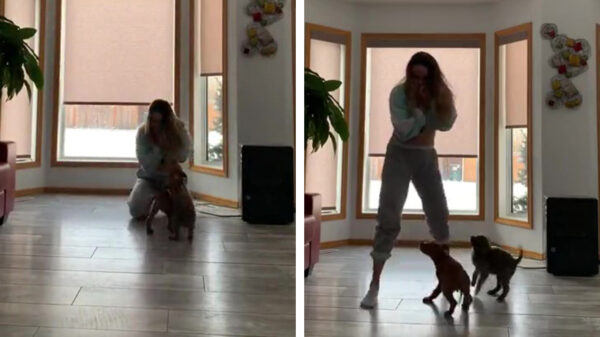 Komt die faceplant: even snel een leuk TikTok-filmpje opnemen