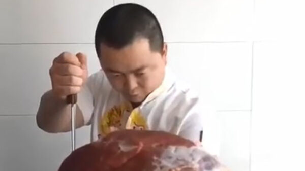 Samoerai-slager demonstreert zijn zieke skills