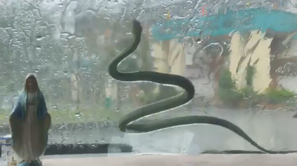Ruitenwisserslang laat je in de regen veilig van A naar B gaan