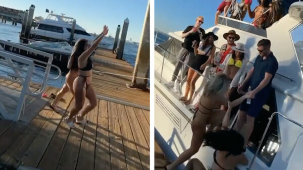 Alle domheid van de medemens van afgelopen week in een compilatie