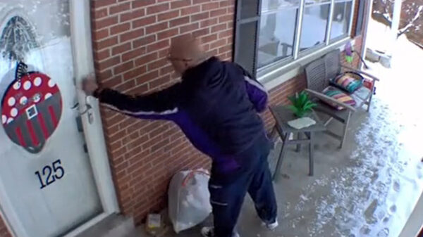 Agressieve hond springt dwars door het raam om een pakketbezorger te pakken