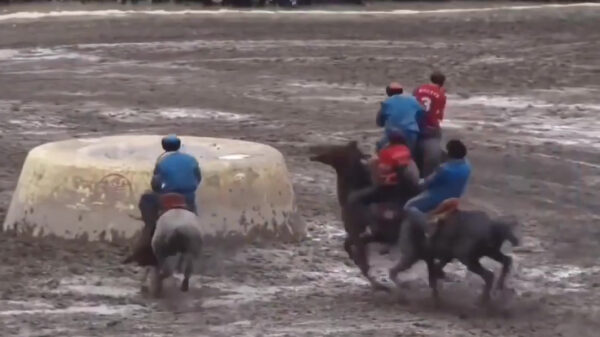 WTF: Buzkashi is een balsport met een dooie geit als bal