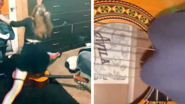 Genoeg internet voor vandaag: lenige Lotje raakt de gevoelige snaar