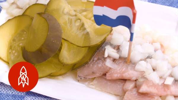 Buitenlanders vinden het maar ranzig dat wij rauwe haring eten